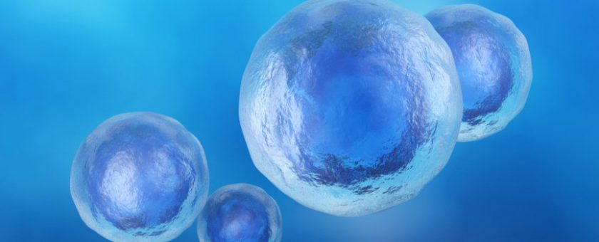 Regenerative Cellular Tissue aka Stem Cells Mount Vernon, WA