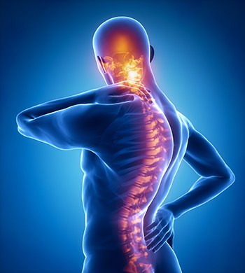 Spine and Extremity X-rays Bellingham, WA